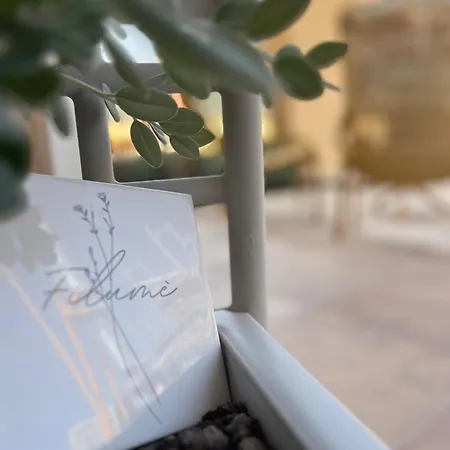 Filume Apartamento